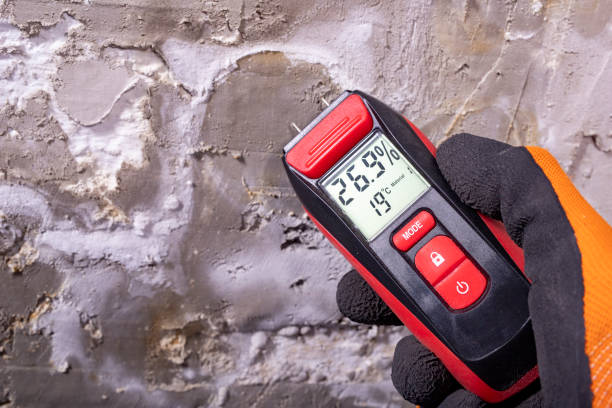 Best Mold Testing and Inspection Services in Rolla, MO