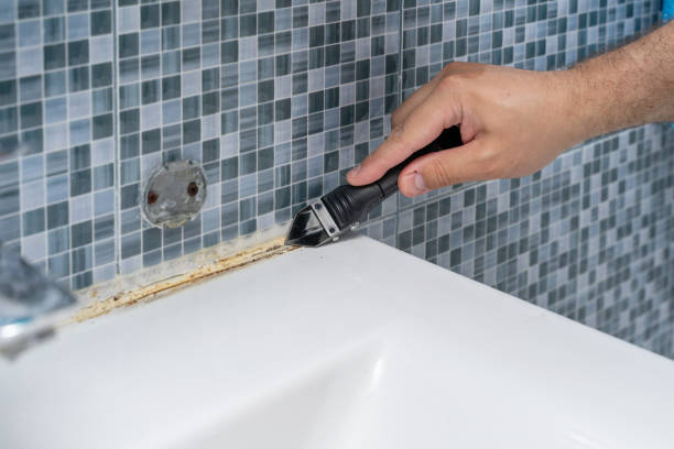 Best Residential Mold Remediation in Rolla, MO