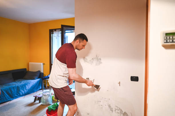 Best Emergency Mold Remediation in Rolla, MO